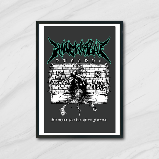 SHOCK VALUE POSTERS